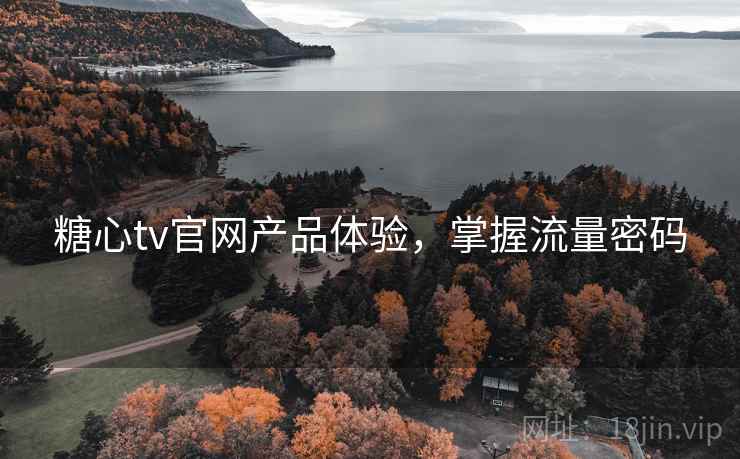 糖心tv官网产品体验，掌握流量密码